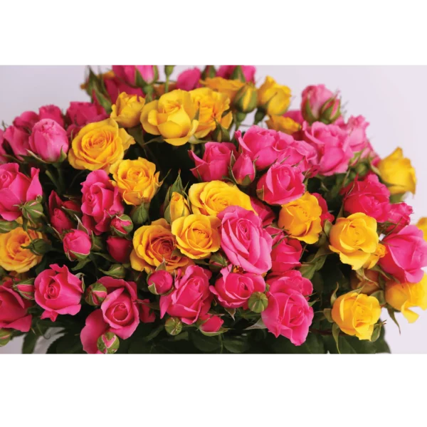 ⁦Golden Glow vase⁩ - الصورة ⁦2⁩